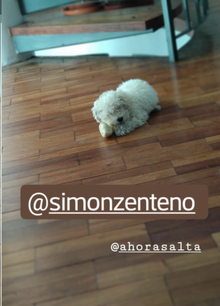 ¡Gracias @simonzenteno (Instagram) por participar!