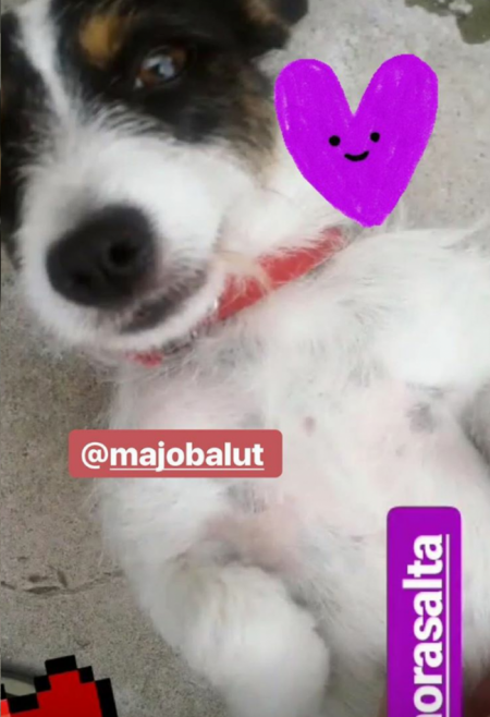 ¡Gracias @majobalut (Instagram) por participar!