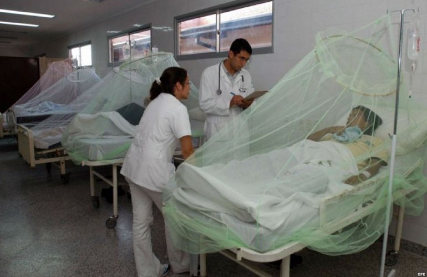 "Mi hija sangra por la piel": el estremecedor caso de dengue hemorrágico en Salta