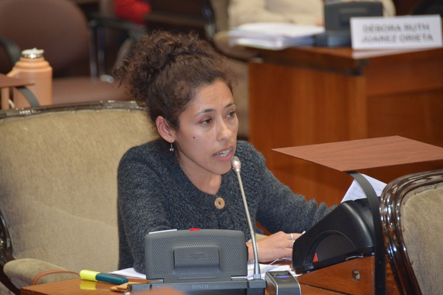 Victoria Murillo: “Es necesario que haya una Ley Nacional de Pirotecnia Sonora Cero”