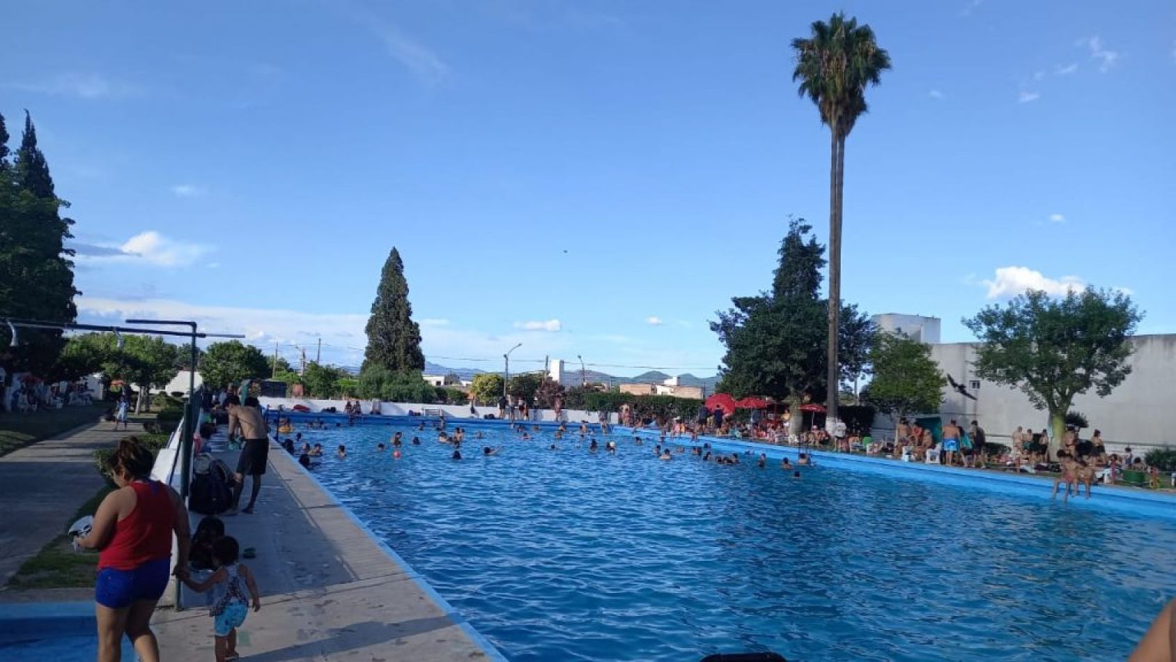 Más de 66 mil personas asistieron a los natatorios municipales esta temporada