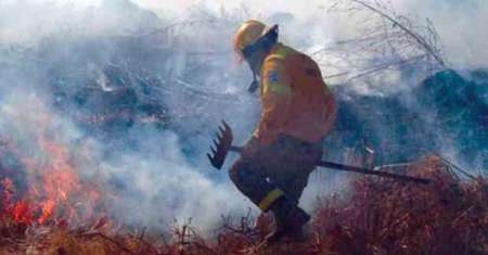“En la primer quincena de julio tuvimos 18 incendios”
