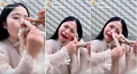 Youtuber trató de comerse un pulpo vivo: todo salió mal