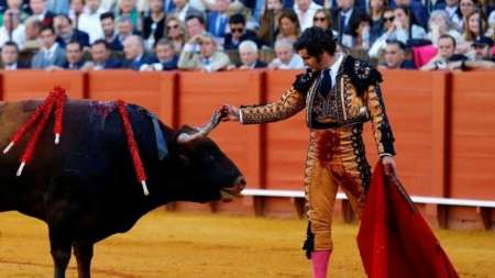 Horror: le limpia las lágrimas con un pañuelo a un toro antes de matarlo