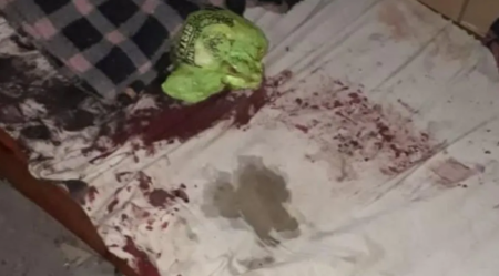 Masacró a golpes a una anciana que dormía en su humilde casa