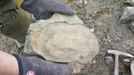 Científicos argentinos hallan el "Monstruo del Lago Ness" de los dinosaurios