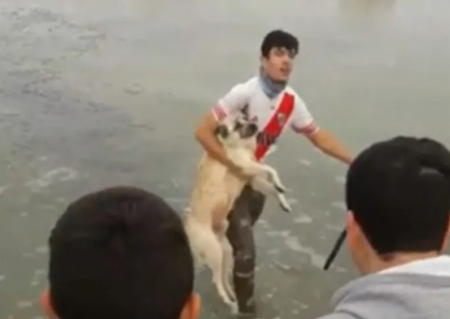 Héroe sin capa se metió en laguna congelada para rescatar a un perrito