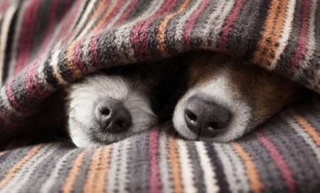 Tiempo en Salta: El pronóstico del fin de semana largo