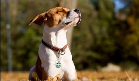Tiempo en Salta: Inicia una semana con mucho solcito pero con descenso de temperaturas