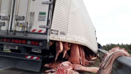 Trasladaba carne de cerdo, perdió su mercadería y los vecinos saquearon el camión