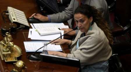 Michetti eliminó el canje de pasajes por dinero en el Senado