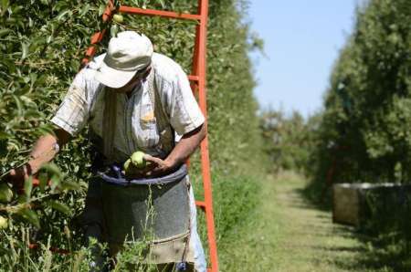 Senadores pidieron a Nación cumplir con los pagos del Programa Intercosecha