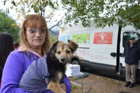 En 76 barrios se castraron 7.925 mascotas y se aplicaron 32.150 vacunas antirrábicas