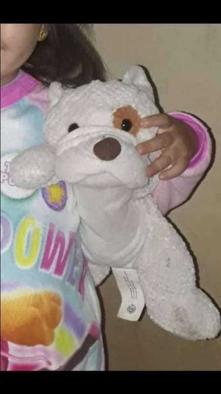 Desesperada búsqueda de un peluche muy querido
