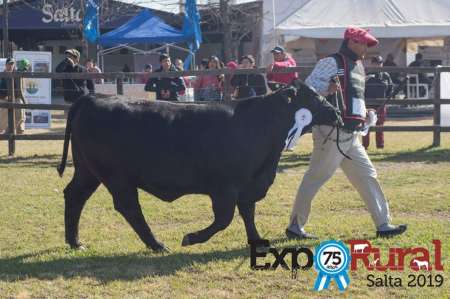 Este jueves será la apertura de la 75° edición de la Expo Rural