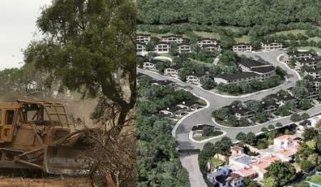 Hotel a toda costa: Hilton pretende ignorar la Ley de Bosques en Salta