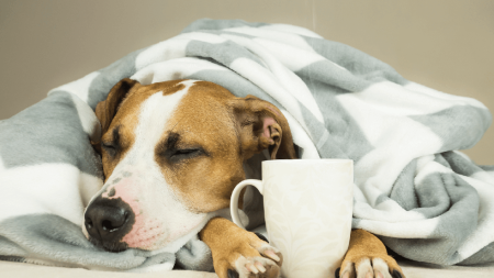 Tiempo en Salta: El fin de semana se mantendrá fresco