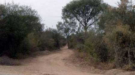Horror: entre cinco hombres violaron a un nenito de 5 años