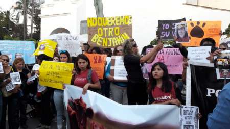 Sentencia por Benjamín: “Es un fallo totalmente histórico”