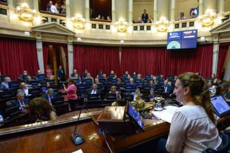 El Senado convertirá en ley la Emergencia Alimentaria