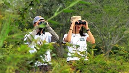 El avistaje de aves en el cerro San Bernardo se potenciará con el proyecto Ala Delta