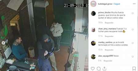 Banda desbaratada por cultivo de marihuana: “Mataron mi local y no encontraron nada ilegal”