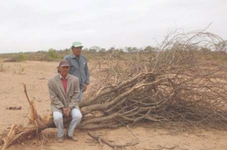 Sufre el Chaco salteño: "No tenemos una gota de agua y el monte está pobre"