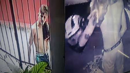 El ladrón que se mete a las casas de un barrio salteño a plena luz del día: tiene este tatuaje