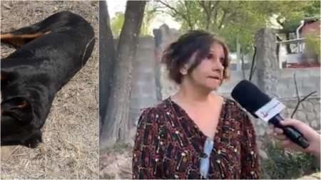 [HAY VIDEO] Salteños acusan a un finquero de envenenar y matar a más de 20 perritos