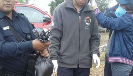 Se estima que el número de canes muertos ya suma 42