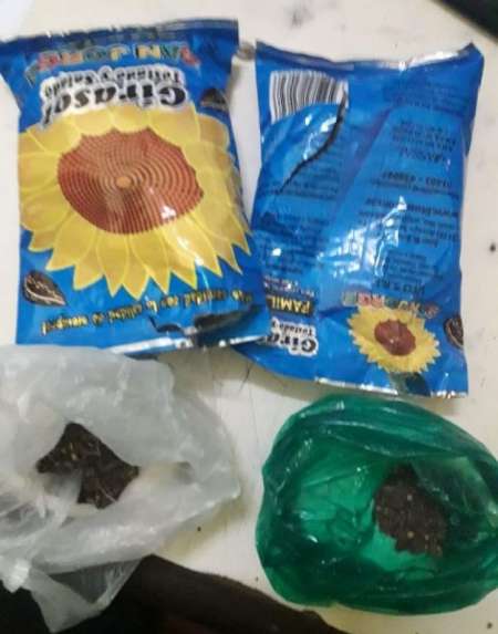 Menor intentó pasar marihuana entre semillas de girasol para un detenido