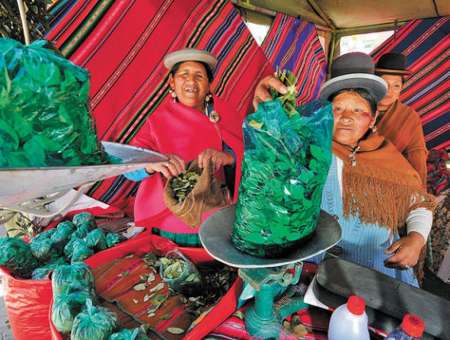 Se pudrió todo: por la crisis en Bolivia, el cuarto de coca se vendería a $800 en Salta