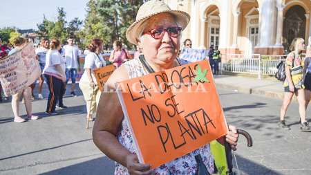 Video: salteños marcharon por la legalización de la marihuana