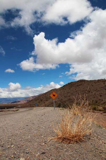 Habilitaron el paso de la ruta 68, a horas del inicio de la Serenata a Cafayate