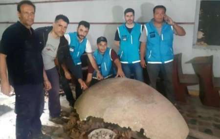 Hallaron un fósil de gliptodonte