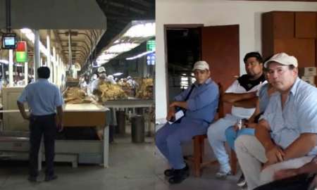 Tabacaleros denunciaron casi 300 despidos en Salta: "No vamos a aceptar lo que quieren"