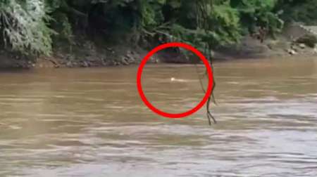Chango se metió a refrescarse al Bermejo y se lo llevó el agua: su familia está destruida