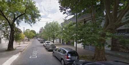 Ladrón quiso esconderse arriba de un árbol