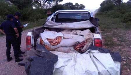 Por las fiestas, aumenta el secuestro de chanchos faenados de forma ilegal