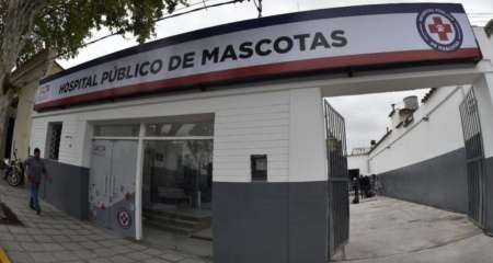 Proteccionistas enfurecidos con el Hospital Público de Mascotas: ¿qué pasó?