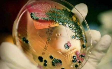 Salmonella en Salta: un menor habría muerto tras contraer la enfermedad