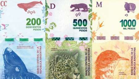 Con fecha de salida, anunciaron cuándo sacarán a los animales de los billetes