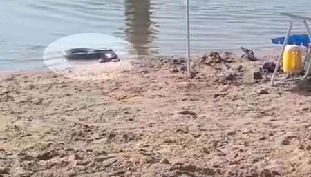 VIDEO Una anaconda apareció en las playas del río Paraná y causó temor entre los turistas