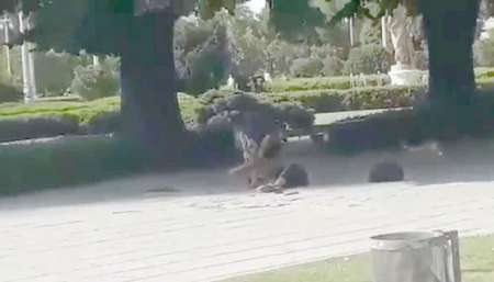 VIDEO El escalofriante momento en que un hombre apuñala a otro en una plaza