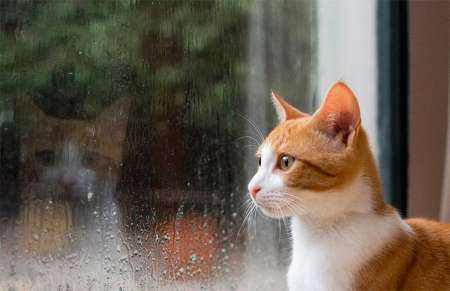 Tiempo en Salta: Calor intenso y fuertes lluvias para este fin de semana