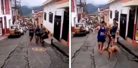 Video indignante: atleta desalmado voló de una patada a un perro en plena competencia