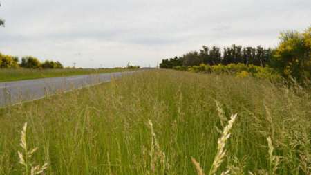 Imagen tomada de www.informatesalta.com.ar