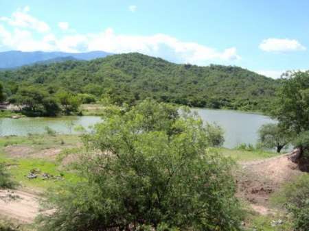 Imagen tomada de www.informatesalta.com.ar