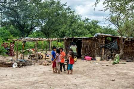 Muerte de wichís en Salta: "Los desmontes nos quitaron el monte y el alimento"