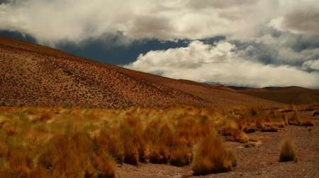 Desmontes en Salta: Urtubey le pidió al Gobierno Nacional “pautas que tengan continuidad”